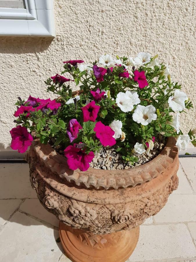 Trullo Villa Giulia Martina Franca Ngoại thất bức ảnh